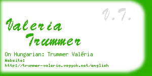valeria trummer business card